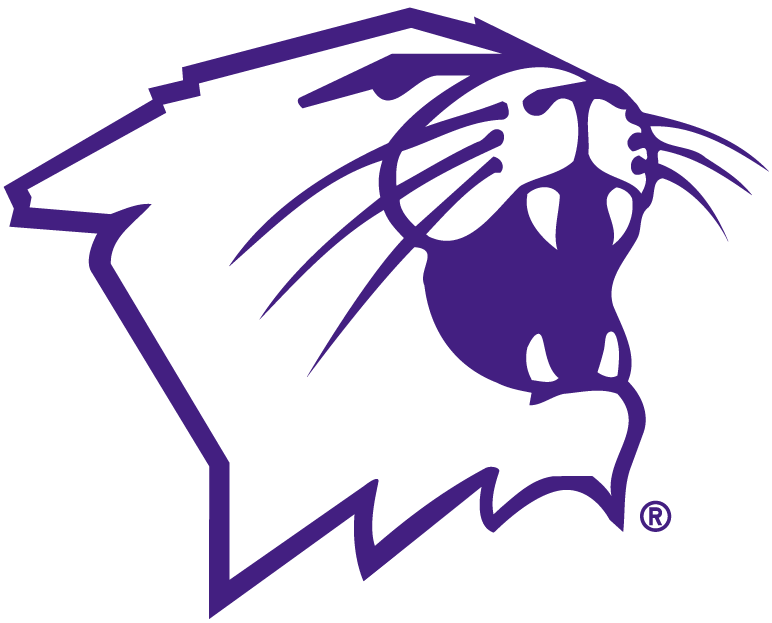 Northwestern Wildcats 1981-Pres Partial Logo 01 iron on paper